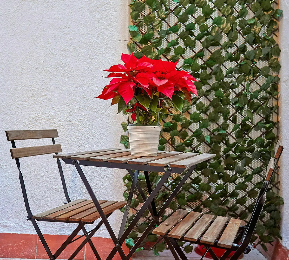 Urban District - Vintage Suites Barcelona
